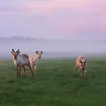 Βίλα Porila Ranua
