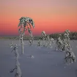 Βίλα Porila